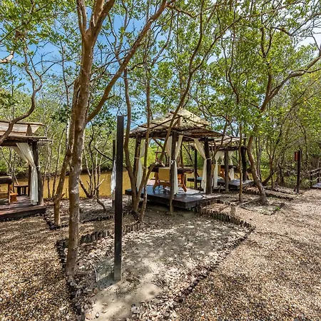 Santo Manglar Life Wellness Cartagena