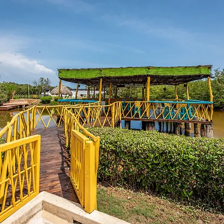 Santo Manglar Life Wellness
