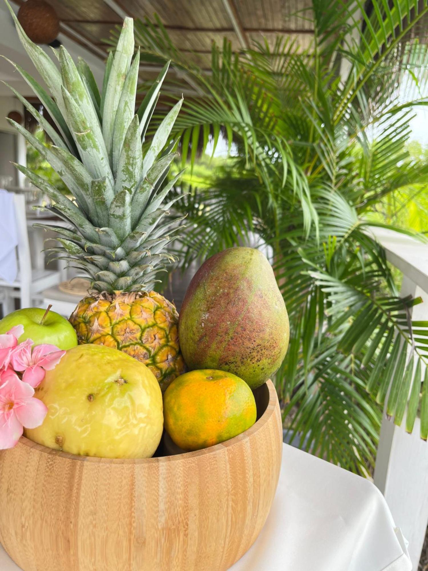 Santo Manglar Life Wellness 3* Cartagena