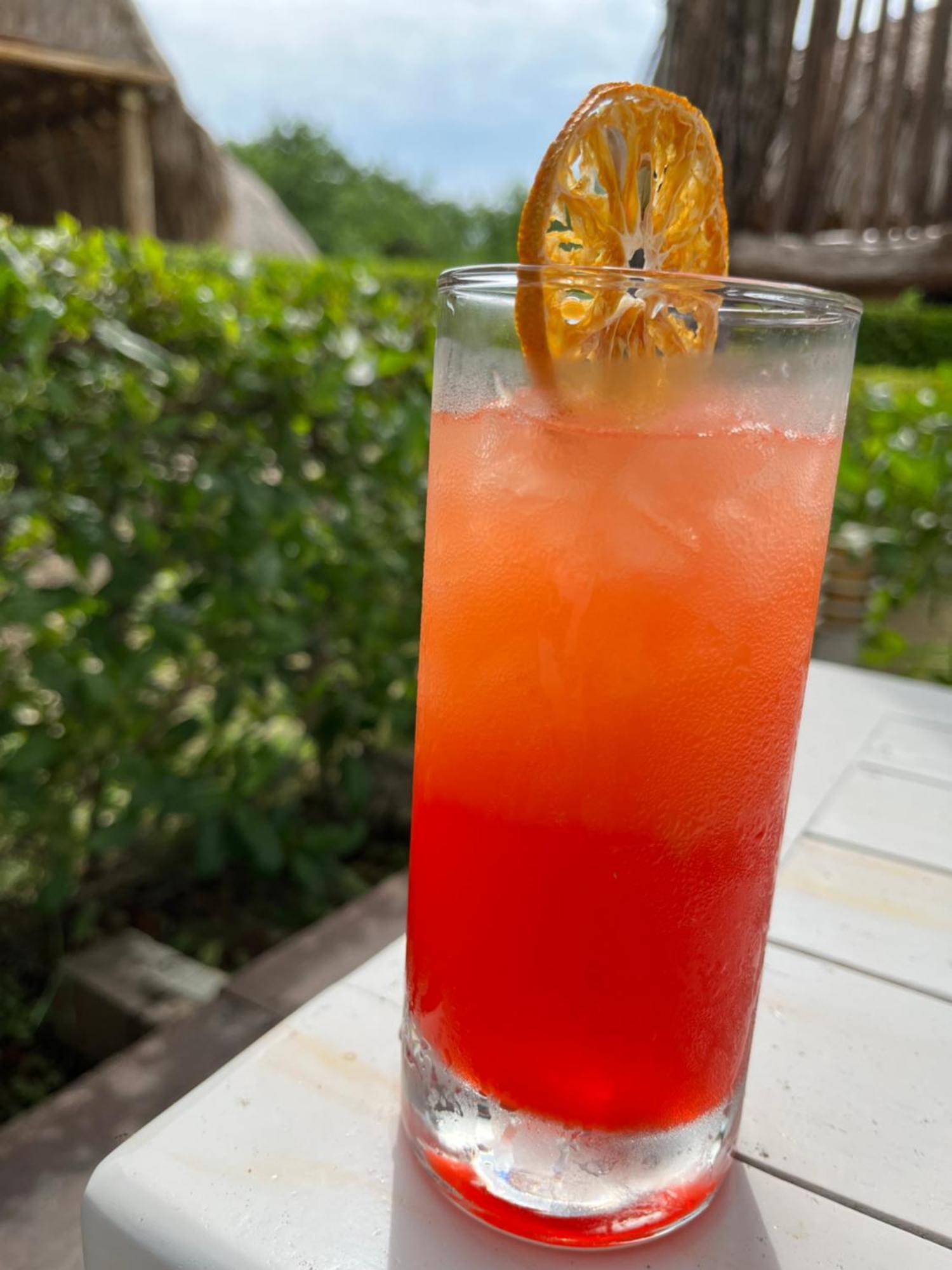 Resort Santo Manglar Life Wellness Cartagena