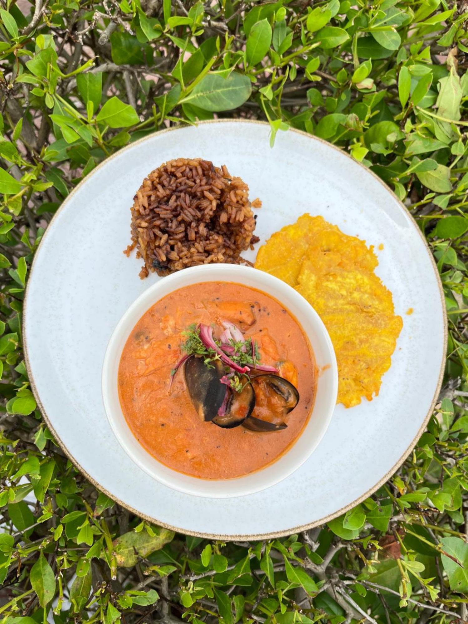 Resort Santo Manglar Life Wellness Cartagena