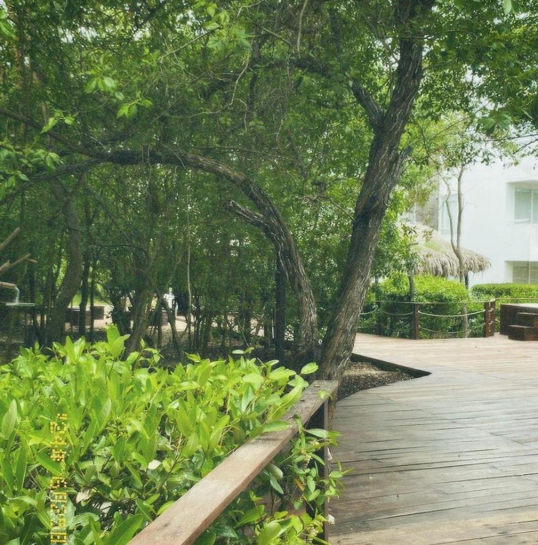 Santo Manglar Life Wellness Resort 3*