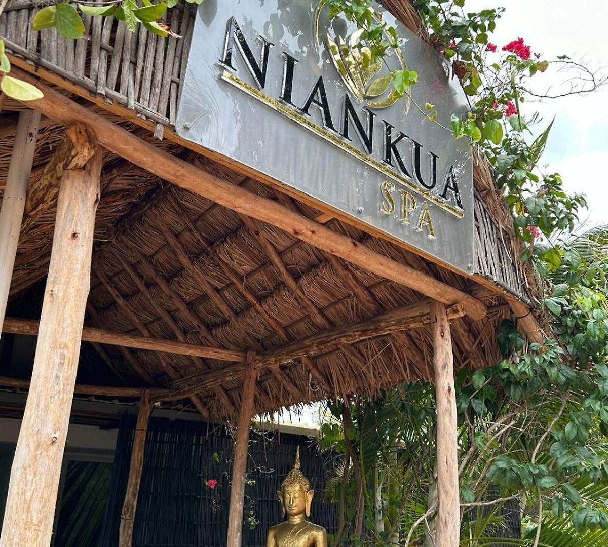 Resort Santo Manglar Life Wellness