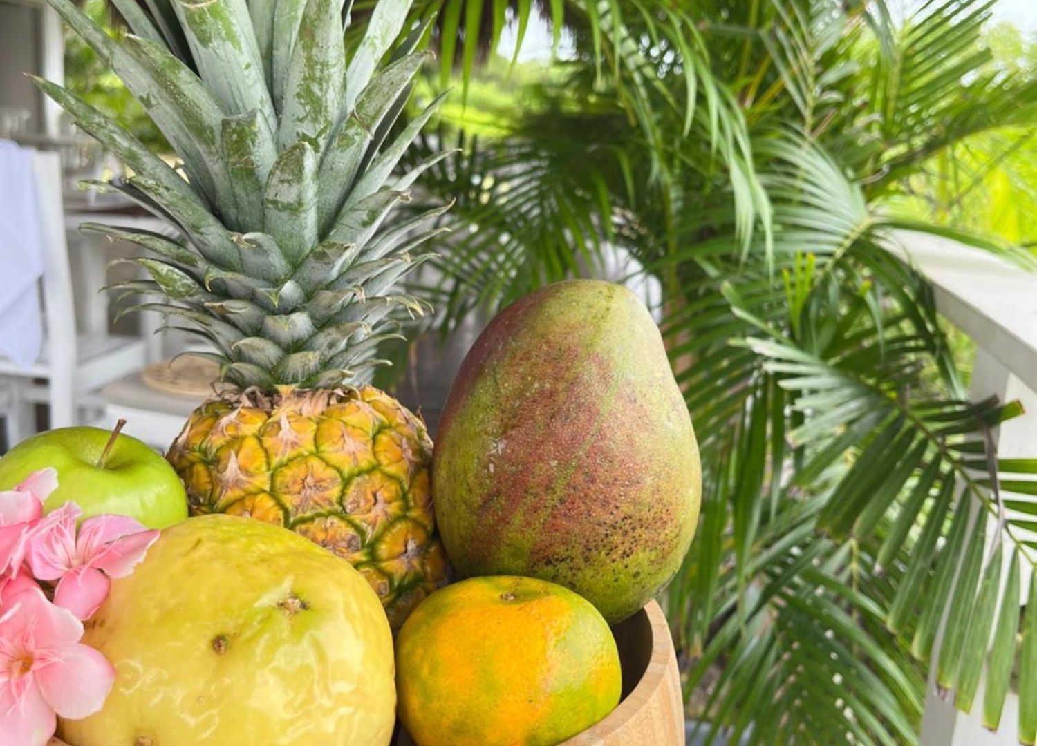 Santo Manglar Life Wellness 3* Cartagena