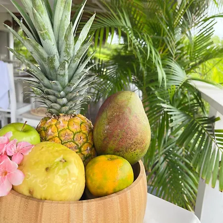 Santo Manglar Life Wellness 3* Cartagena